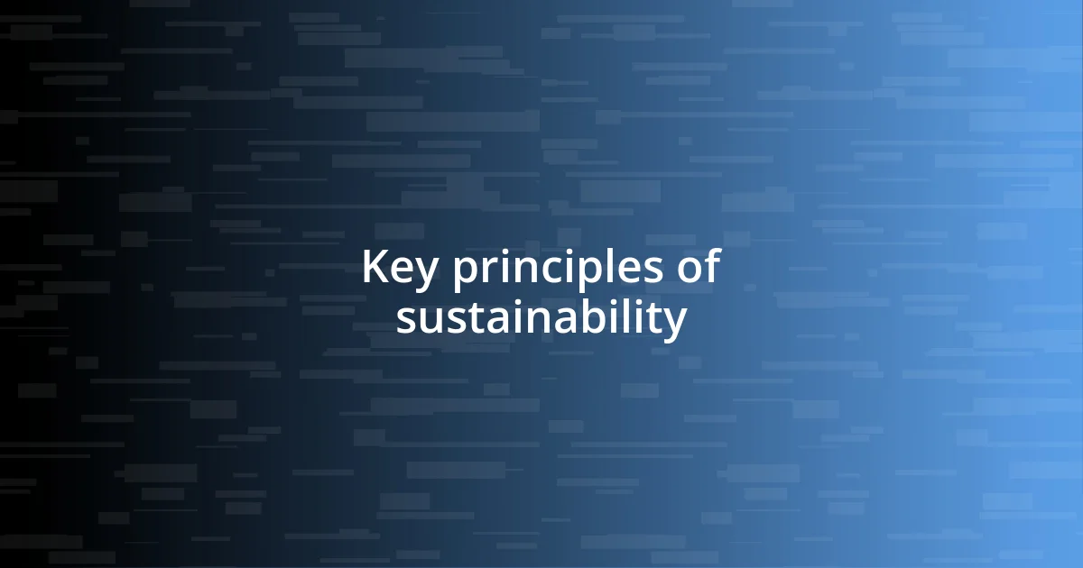 Key principles of sustainability